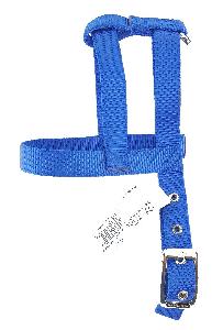 3/4" DOG HARNESS - ROYAL BLUE